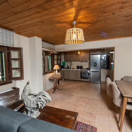 Holiday home Dandy Tsagkarada-sweet Apple-mini Pool
